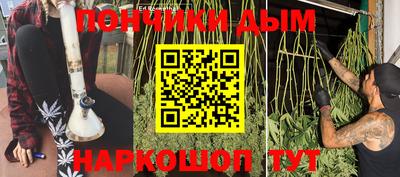 индика Владикавказ