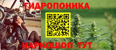 a pvp Братск