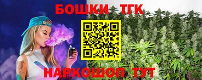 стаф Владимир