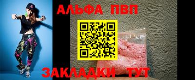 стаф Владимир