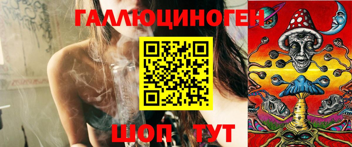 Псилоцибиновые грибы Psilocybe Михайловка